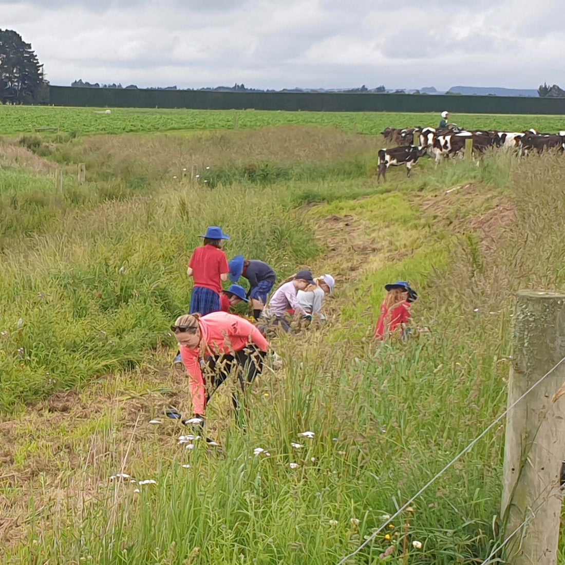 How Terra Centric helped the Gilchrists' boost on-farm biodiversity